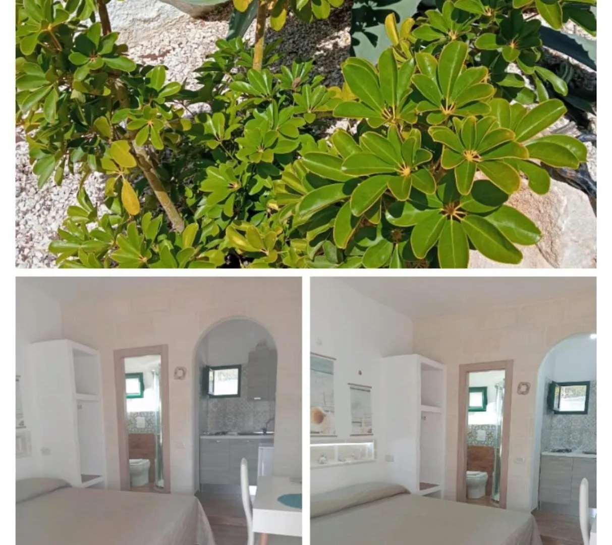 Il Corallo Rosso Favignana Aparthotel